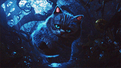 j9jcge.gif