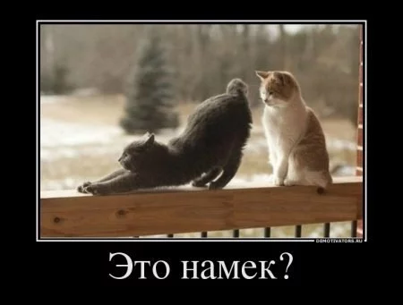 ja1cgh.webp