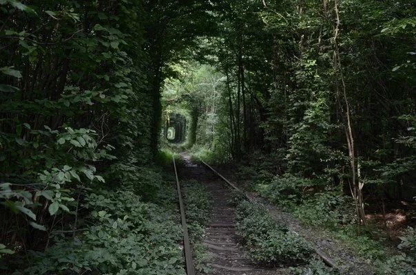 JAanxyM47D4.webp