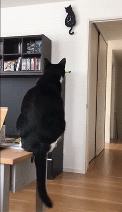 jab7hb.gif