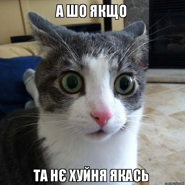 jacde0.webp