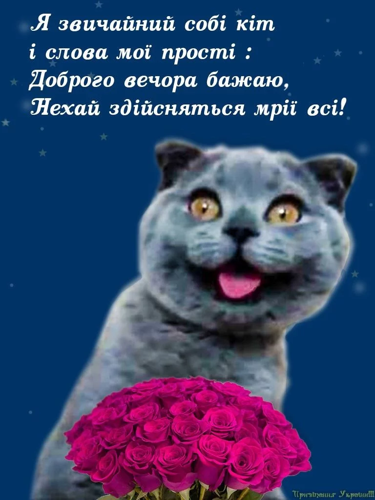jaeh4b.webp