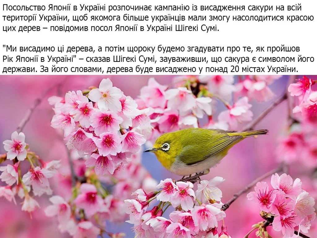 jafg8b.webp