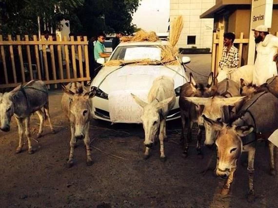 Jag-Donkey-Main620x433_2.webp