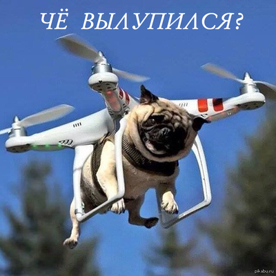 jah6eg.png