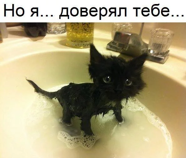 jahh4c.webp