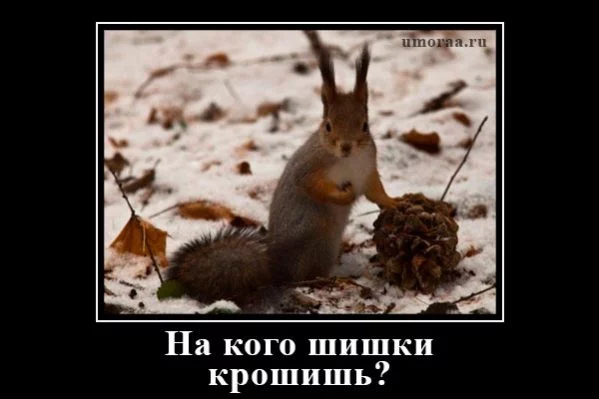jaj4ae.webp