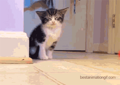 jaje5d.gif