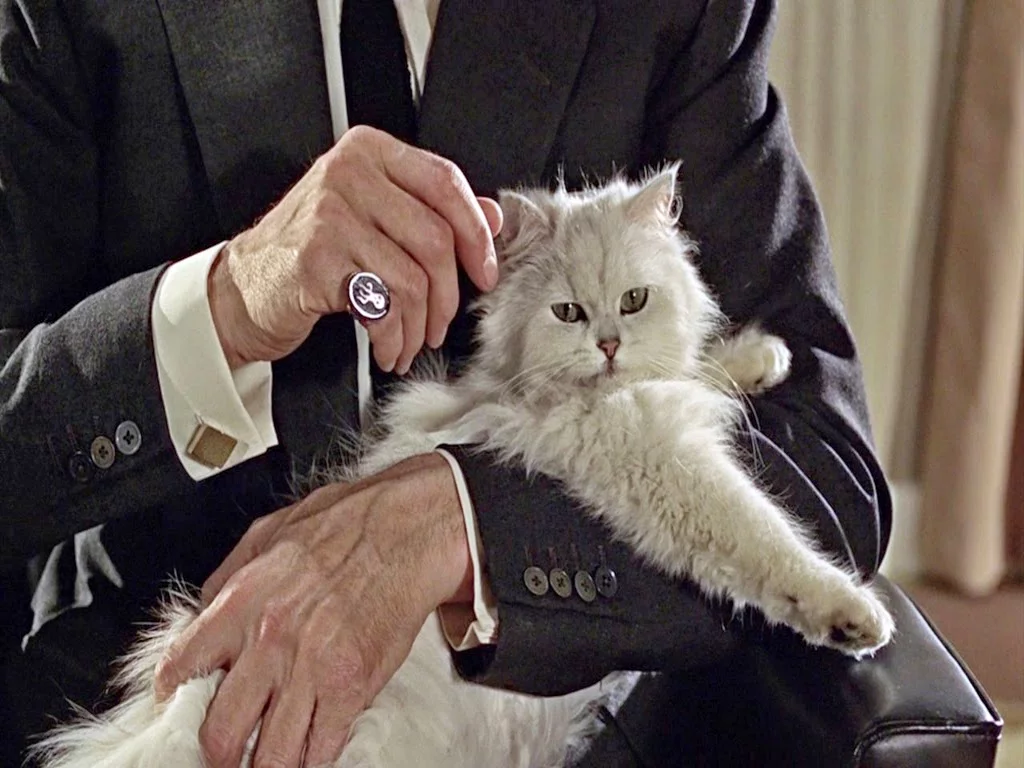 James-Bond-with-Cat.webp