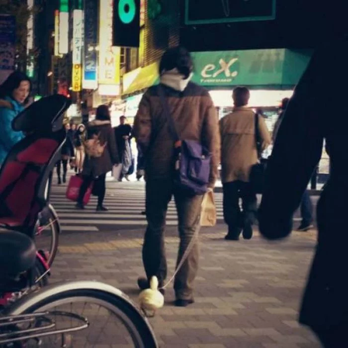 japan_02.webp