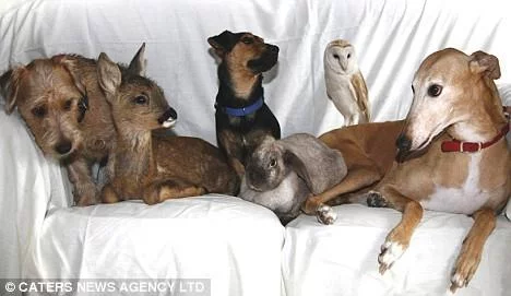 jasmine-and-animal-group1.webp