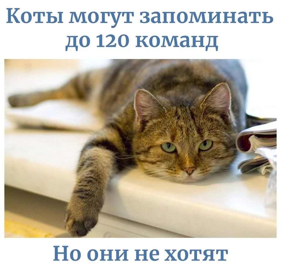 jb0hjc.webp