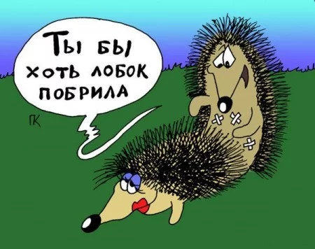 jb3dja.webp