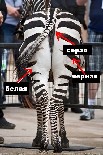 jb8cfh.webp