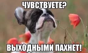 jb8djf.webp