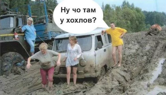 jb8egb.webp