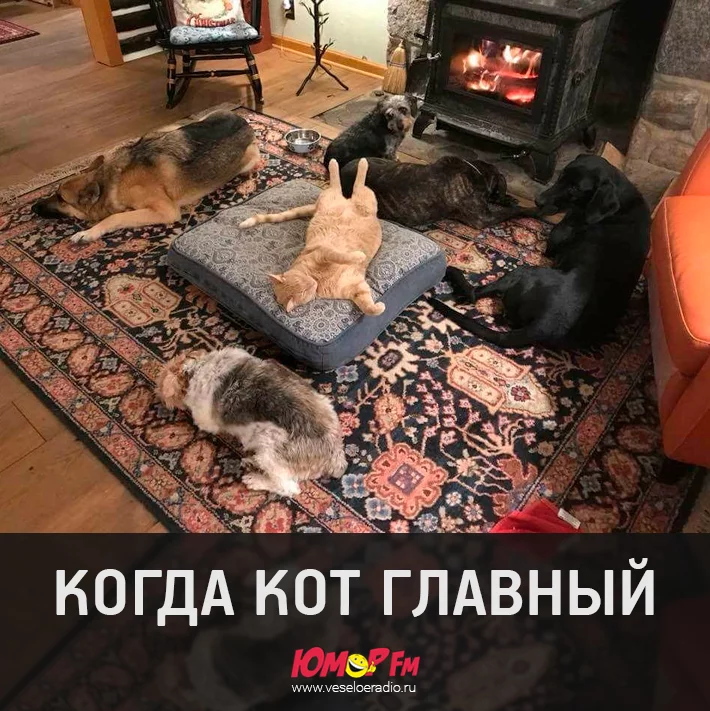 jbb0fc.webp