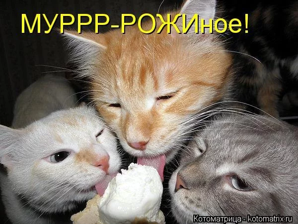 jbbjd8.webp