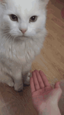 jbc6ej.gif