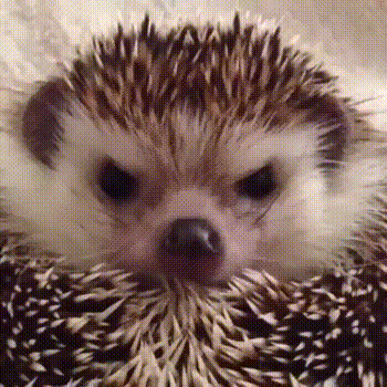 jbcbf3.gif