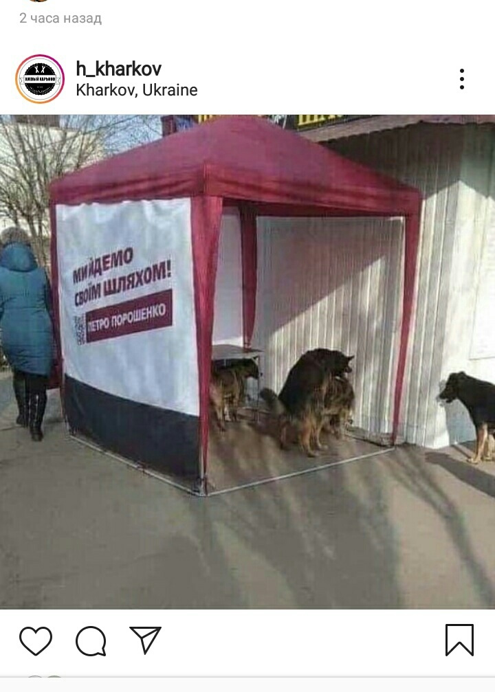 jbcd1b.jpg
