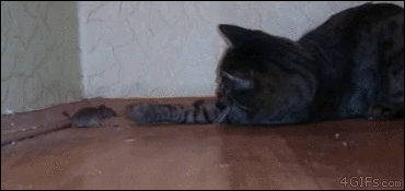 jbcfa2.gif
