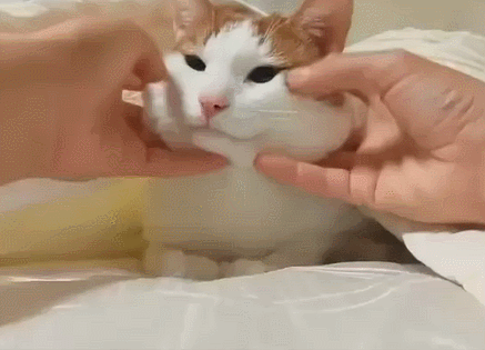 jbdd5j.gif