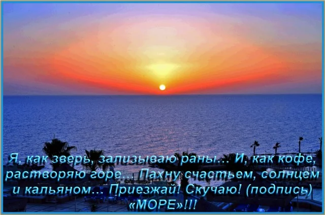 jbfbd5.webp