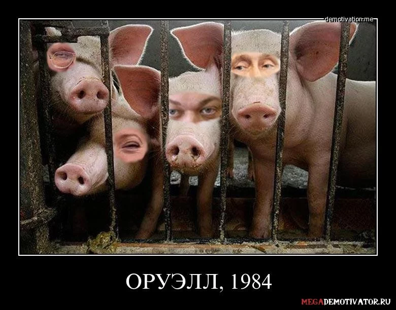 jbhh0b.webp
