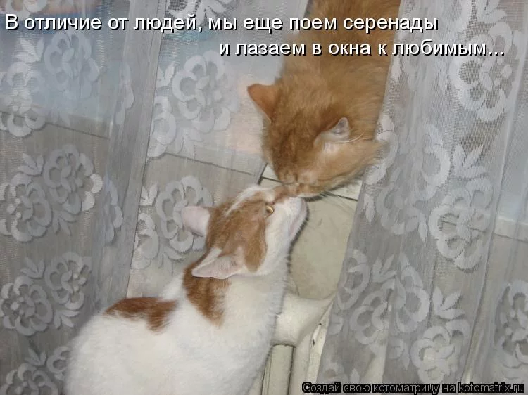 jbjg7d.webp
