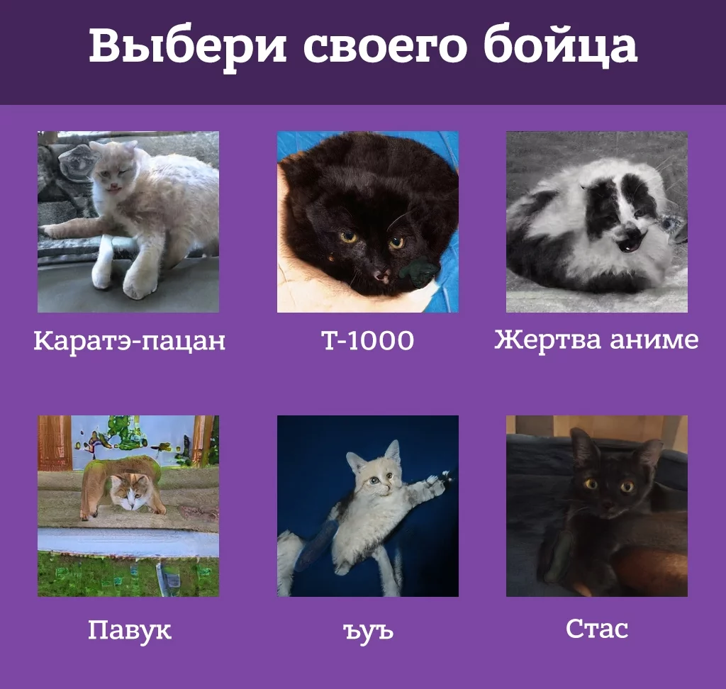 jc5fcd.webp