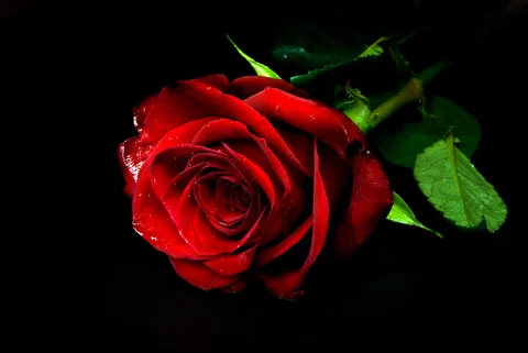 jc8bej.webp