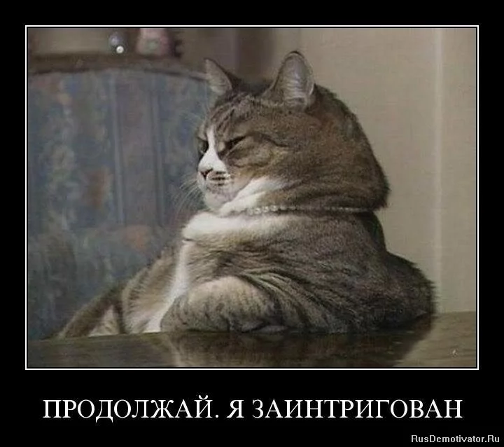 jca7ca.webp