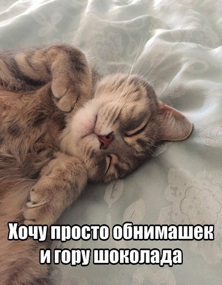 JcAE6QnqECM.jpg