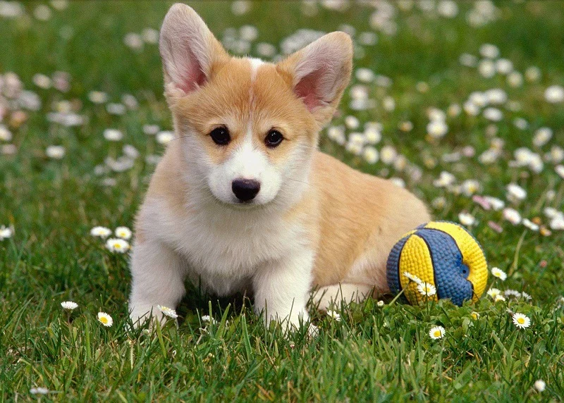 jccb3h.webp