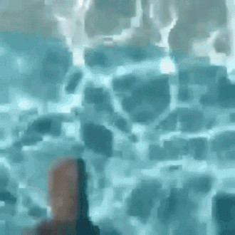 jceh4h.gif
