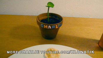 jcgc8a.gif