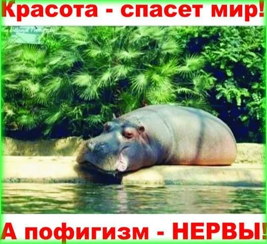 jd0djh.webp
