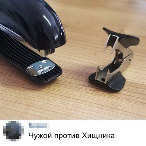 jd3fcj.webp