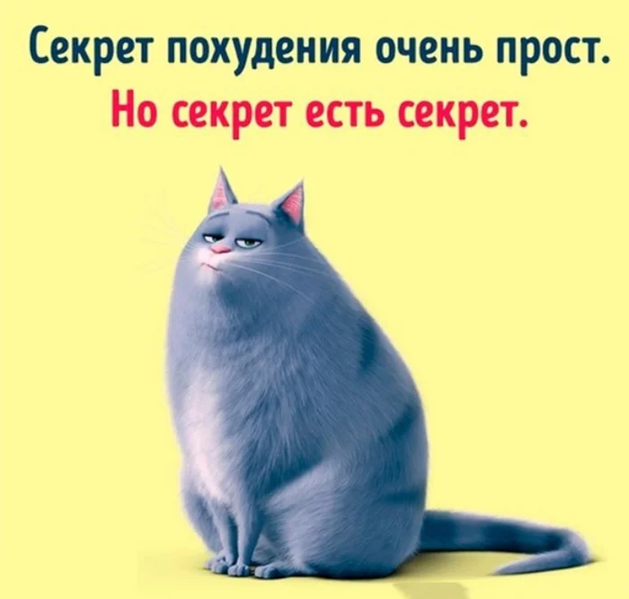 jd3ffd.webp
