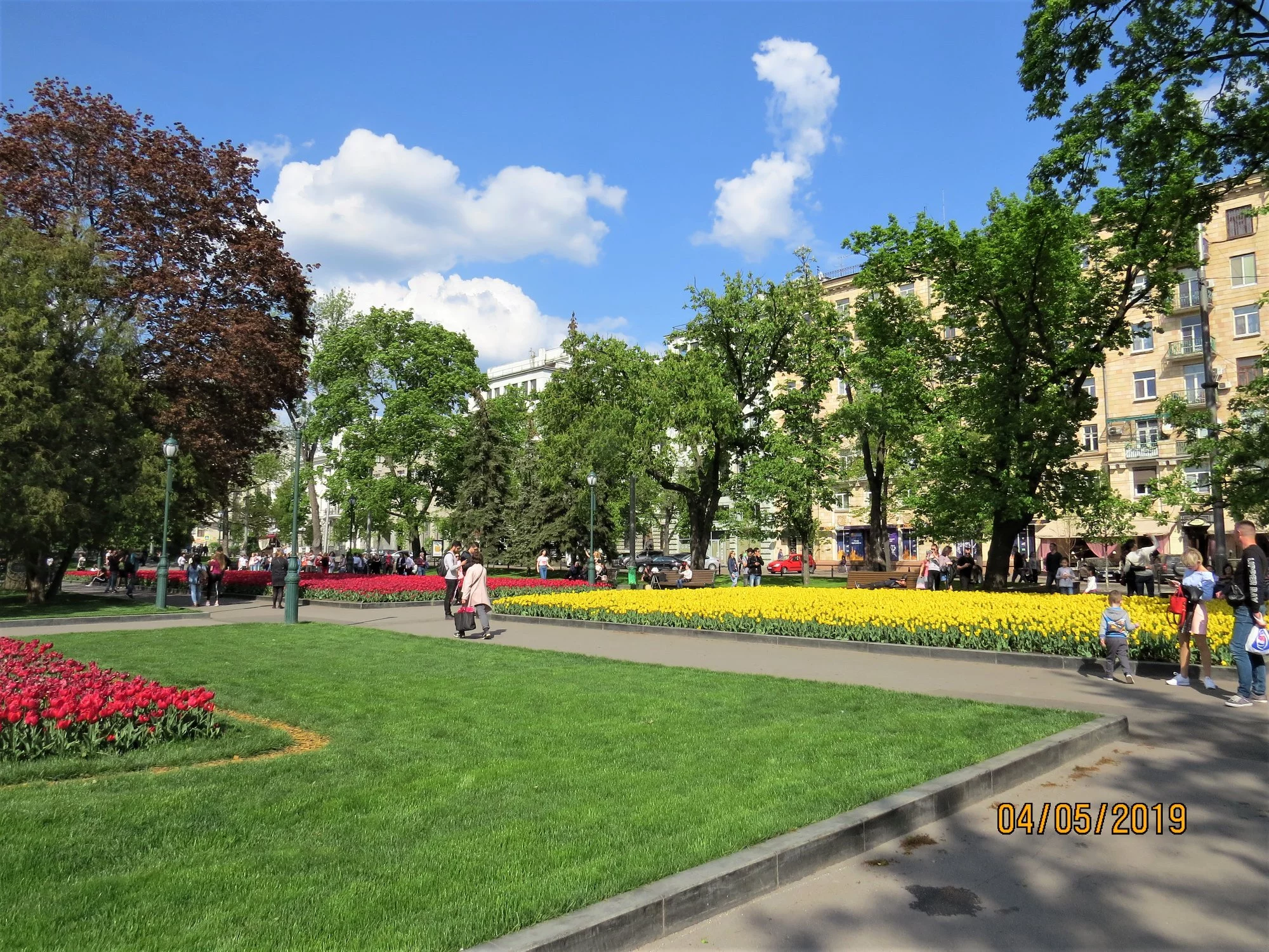 jdbdg9.webp