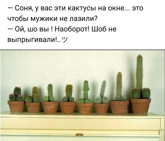 jdchj4.webp