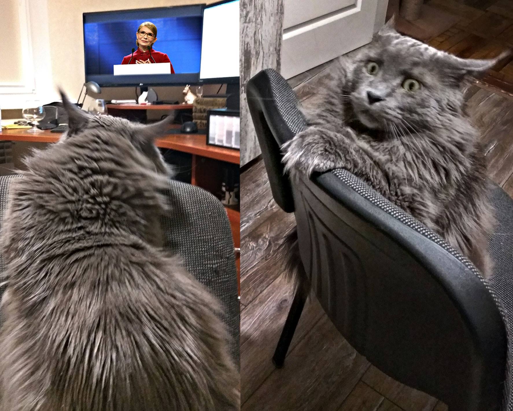 jdeee5.jpg