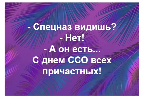 jdfd9b.webp