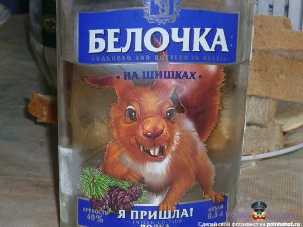 jdgb8g.webp