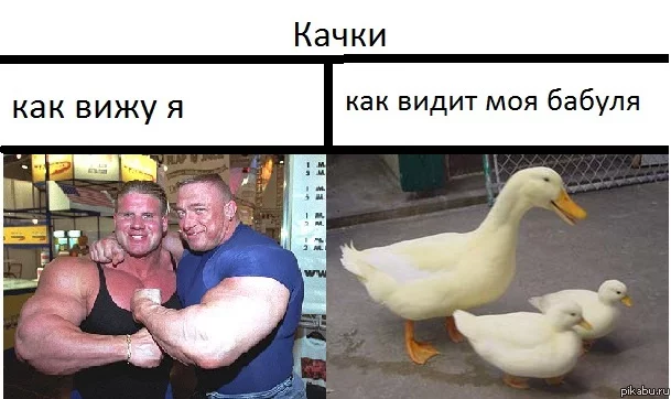 jdhb8h.webp