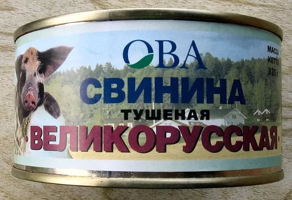 jdhca2.webp
