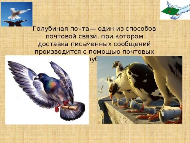 je6dcd.webp