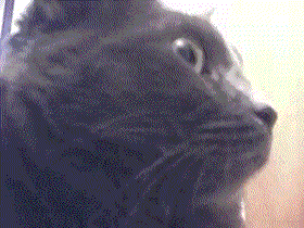 je6ede.gif
