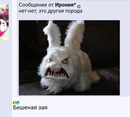 je6efj.webp
